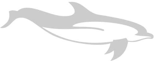 Dolphin vector