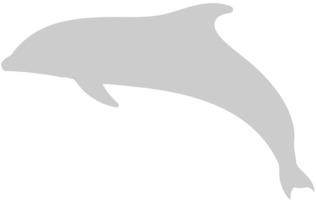 Dolphin vector