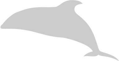 Dolphin vector