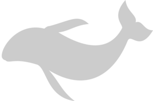 Dolphin vector