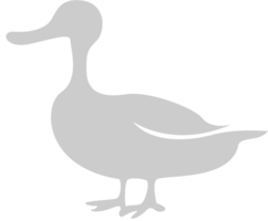 Duck vector