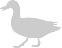 Duck walking vector