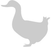 Duck vector