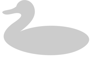 Duck vector