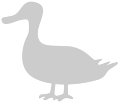 Duck vector