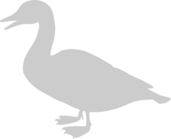 Duck vector