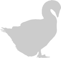 Pato vector