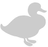 Duck vector