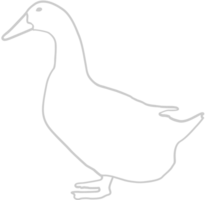 Duck outline vector