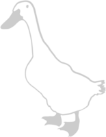 Duck outline vector