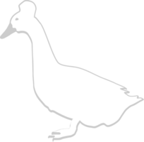 Duck outline vector