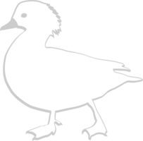 Duck outline vector