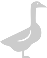 Duck vector