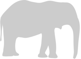 elefante vector