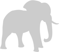 Elephant vector