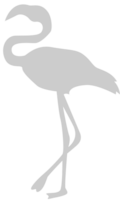 Flamingo vector