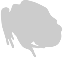 Frog vector