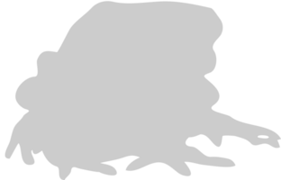 Frog vector