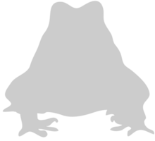 Frog vector