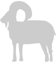 Goat vector