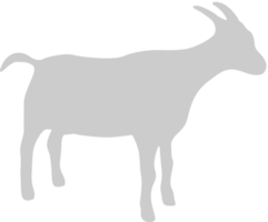 Goat vector