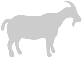 Goat vector