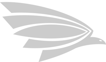 Hawk Logo vector