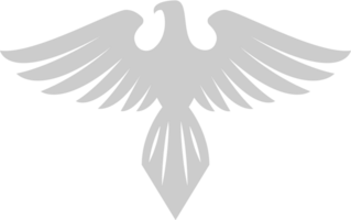 Hawk vector