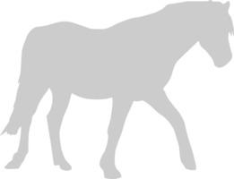 caballo vector
