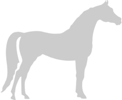 Horse vector