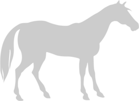 Horse vector