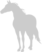 Horse vector