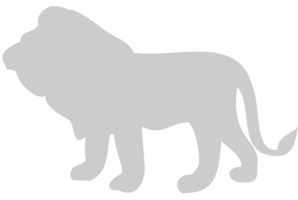 Lion vector