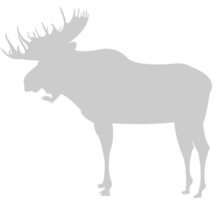 Moose vector