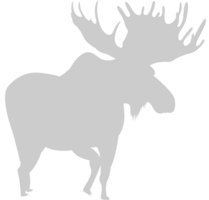 Moose vector