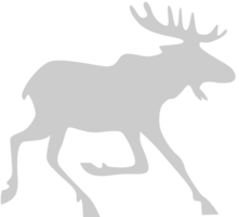 Moose running vector