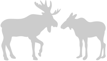 Moose vector