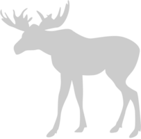 Moose vector