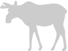 Moose vector