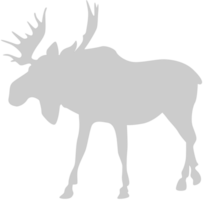 Moose vector