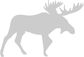 Moose vector