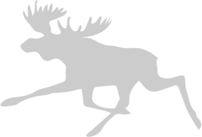 Moose running vector