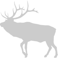 Moose vector