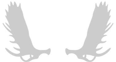 Moose horns vector