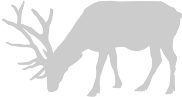 Moose vector