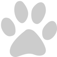 Paw vector