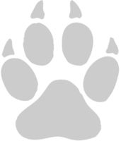 Paw vector