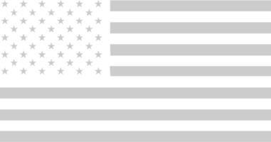 American Flag vector