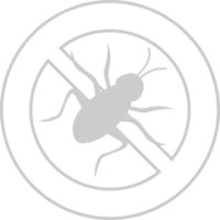 No cockroach  vector