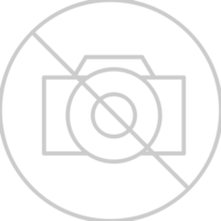 No camera vector